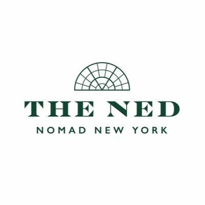 The Ned Nomad logo
