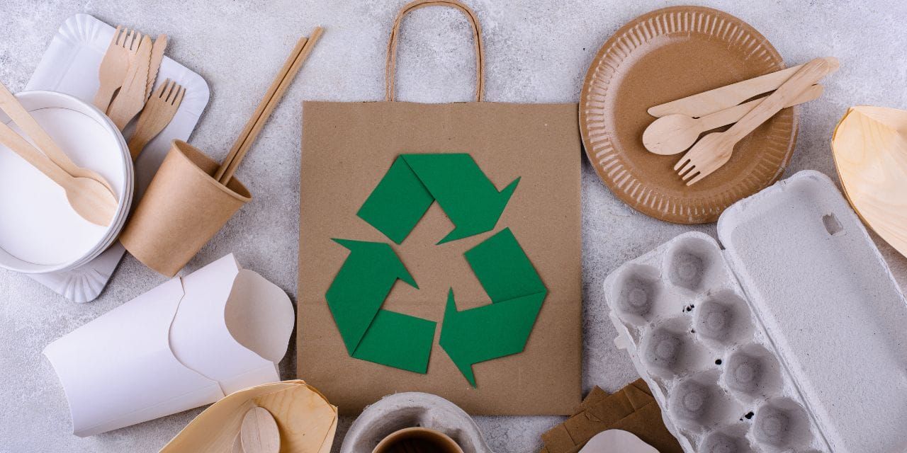 sustainable paper utensils