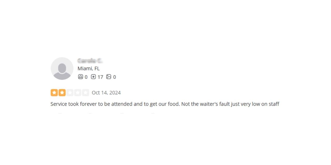 Negative review about insufficient staffing