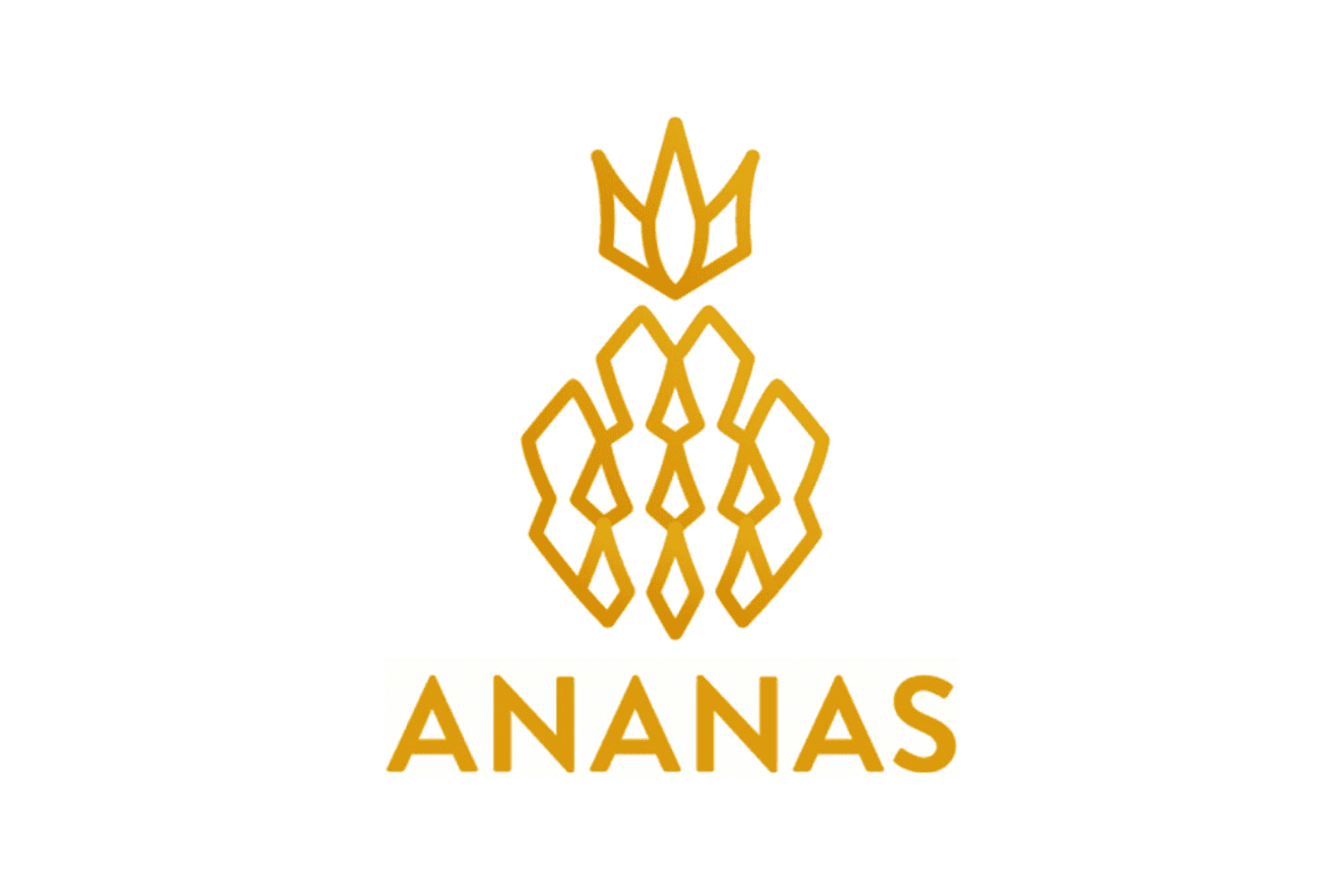 ananas academy logo