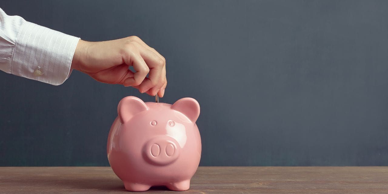 pink piggy bank