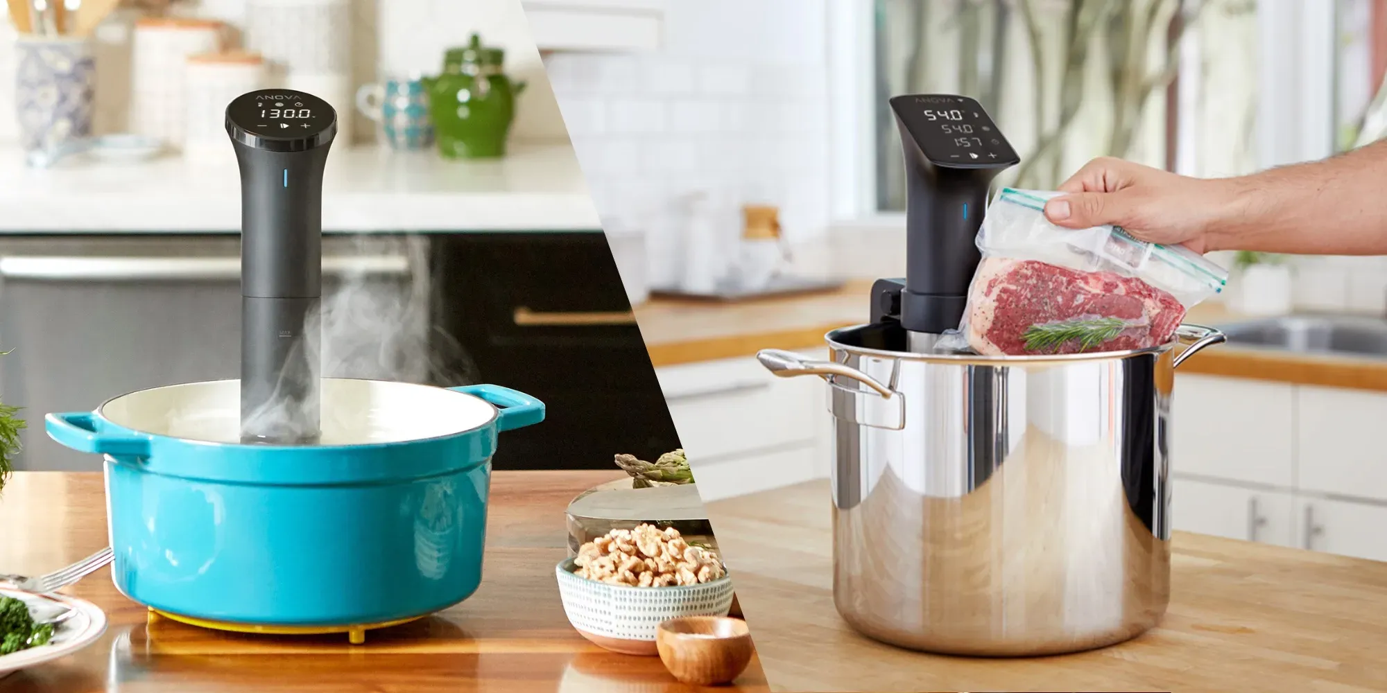 Anova Precision Cooker Pro
