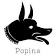 Popina logo