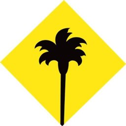 Company Logo or Photo