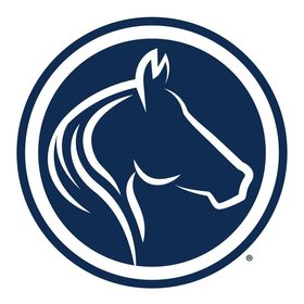 Company Logo or Photo