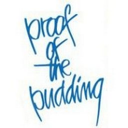 Company Logo or Photo