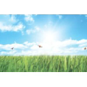 Baker Commercial Landscaping logo