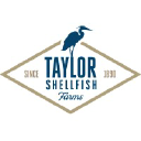 Company Logo or Photo