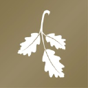 Company Logo or Photo