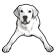 Tucker Pup's Pet Resort logo