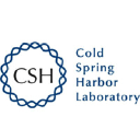 Company Logo or Photo