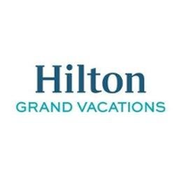 Company Logo or Photo