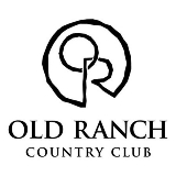 Company Logo or Photo
