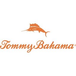 Company Logo or Photo