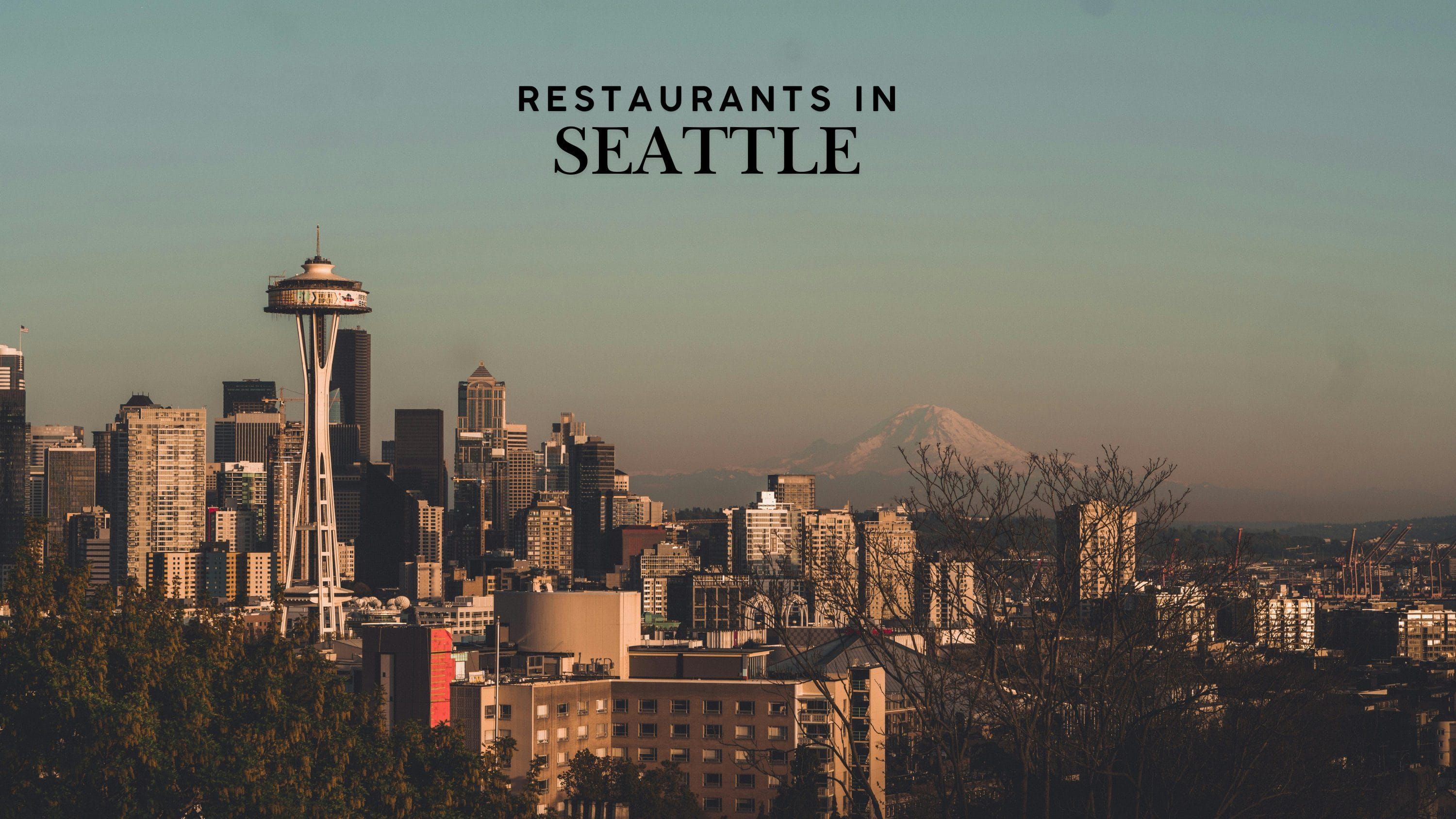 seattle from the sky
